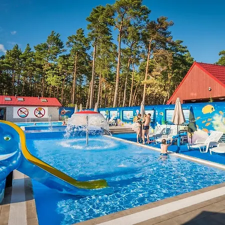 Ambre Letniskowe * ウェバ