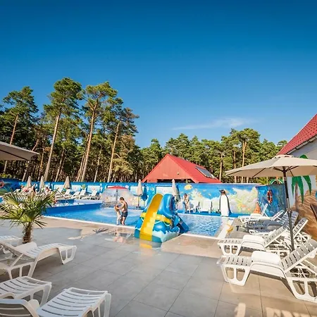 Ambre Letniskowe ウェバ