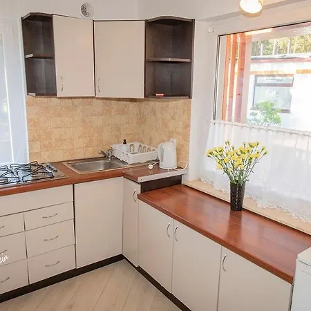 펜션 Ambre Letniskowe 웨바