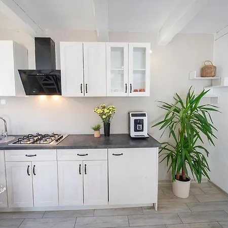 펜션 Ambre Letniskowe